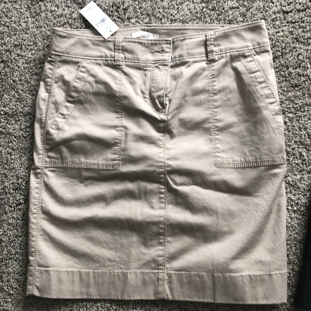 Ann Taylor Loft Skirts